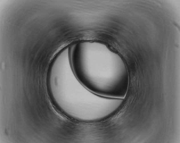 X0000097890530200803141007
