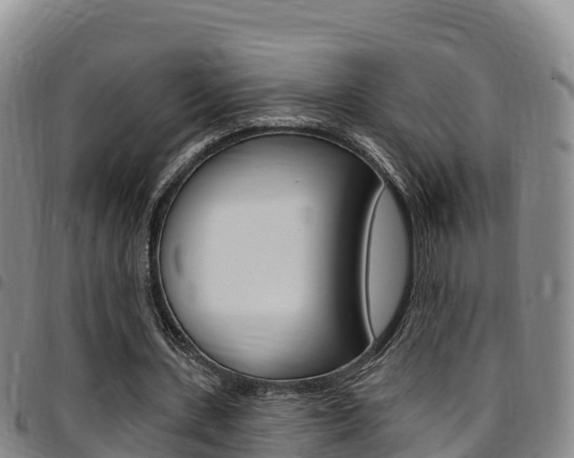 X0000097890531200803141007