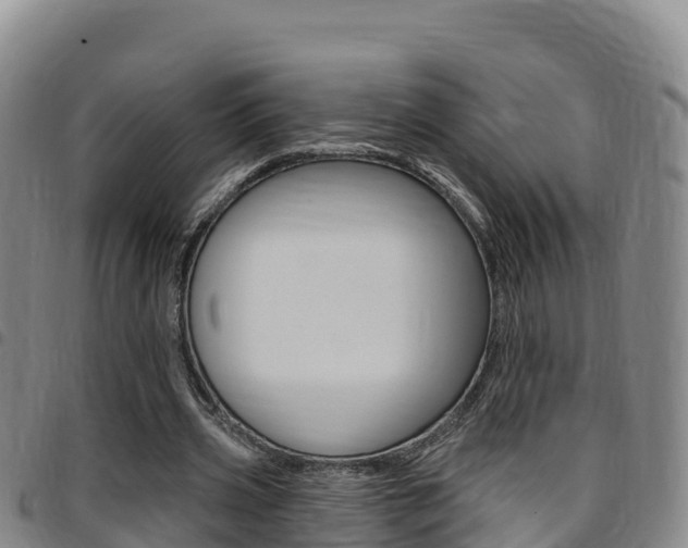 X0000097890533200803141007