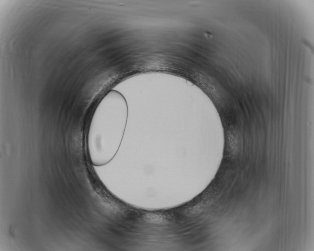 X0000097890534200803141007