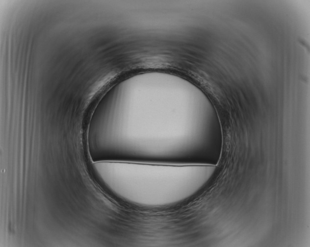 X0000097890535200803141007