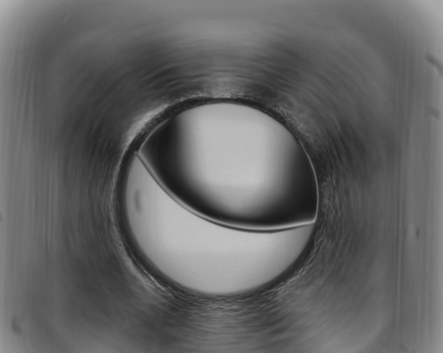 X0000097890536200803141007