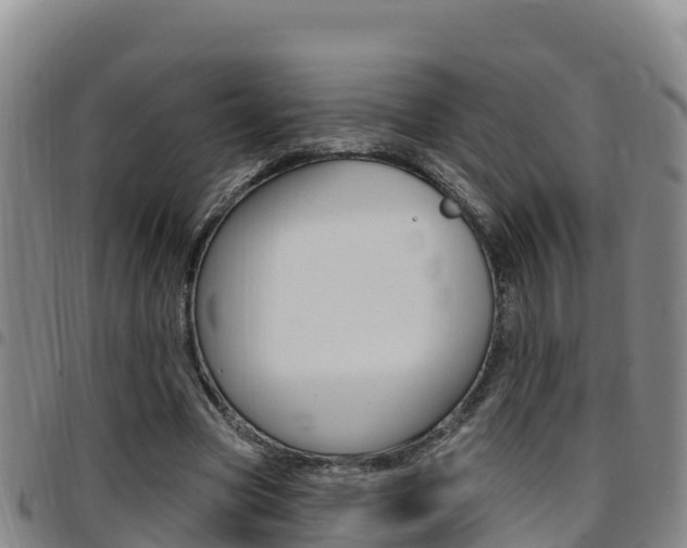 X0000097890537200803141007