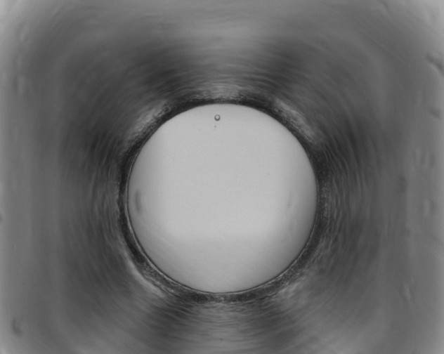 X0000097890538200803141007