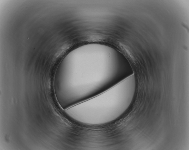 X0000097890539200803141007