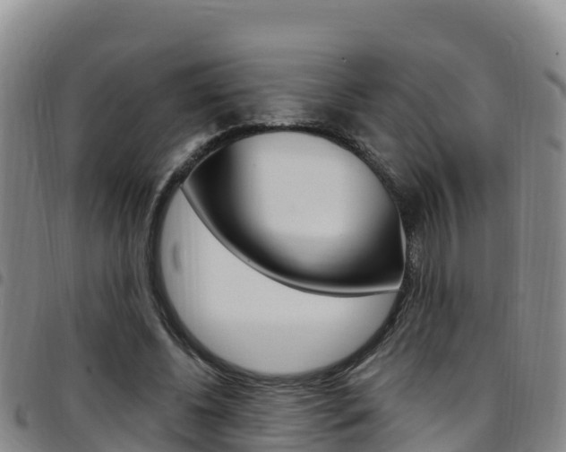 X0000097890540200803141007