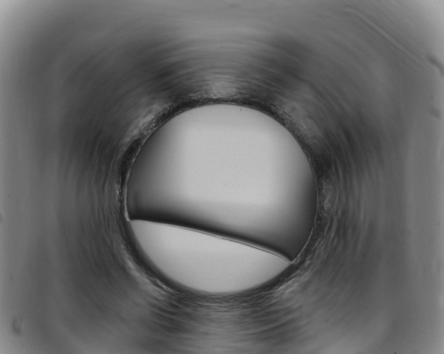 X0000097890542200803141007