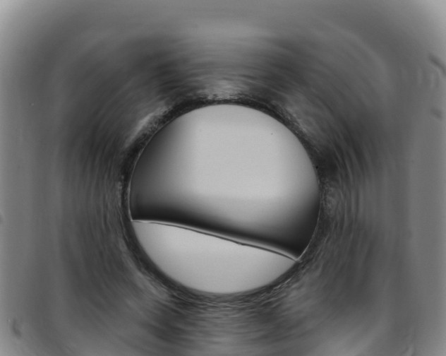 X0000097890543200803141007