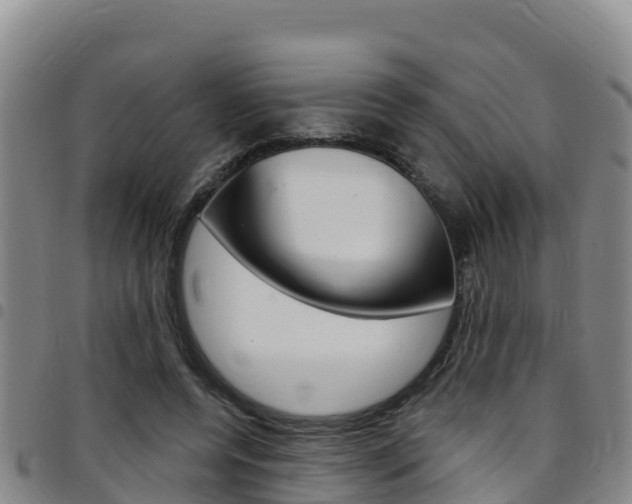 X0000097890544200803141007