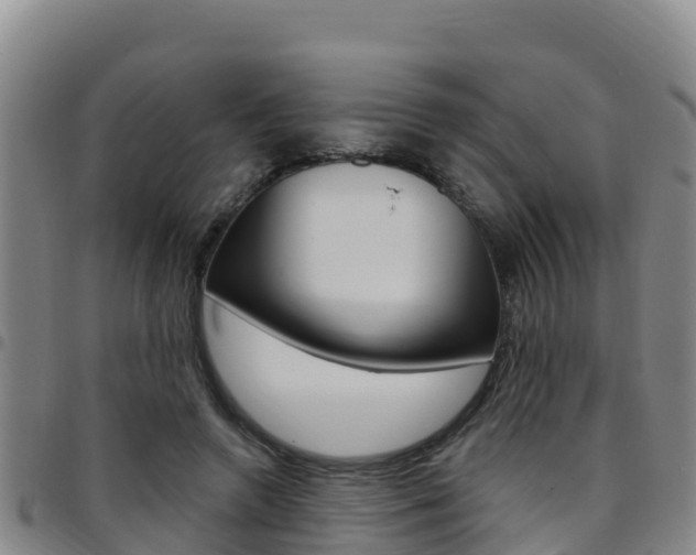 X0000097890546200803141007
