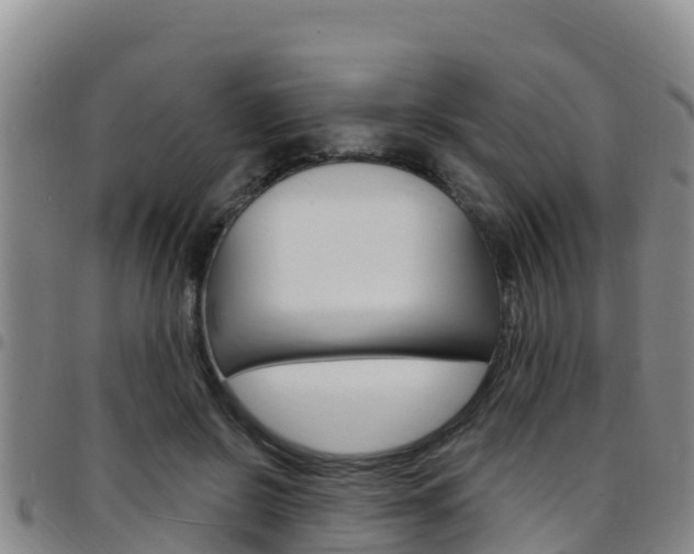 X0000097890550200803141007