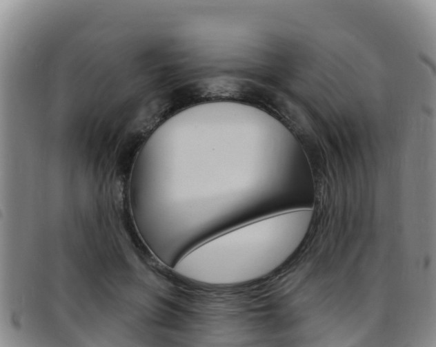 X0000097890551200803141007