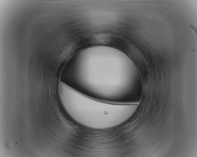 X0000097890552200803141007