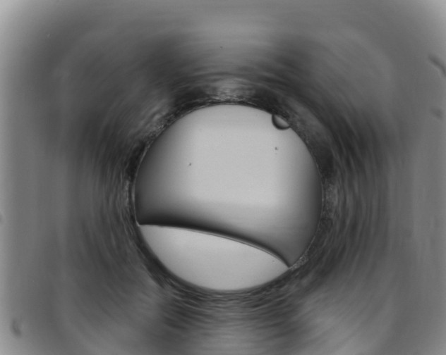 X0000097890554200803141007