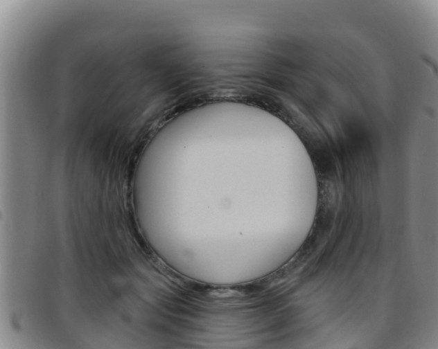 X0000097890557200803141008