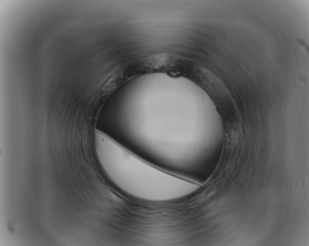 X0000097890558200803141008