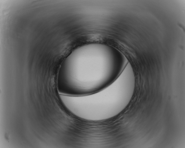 X0000097890560200803141008