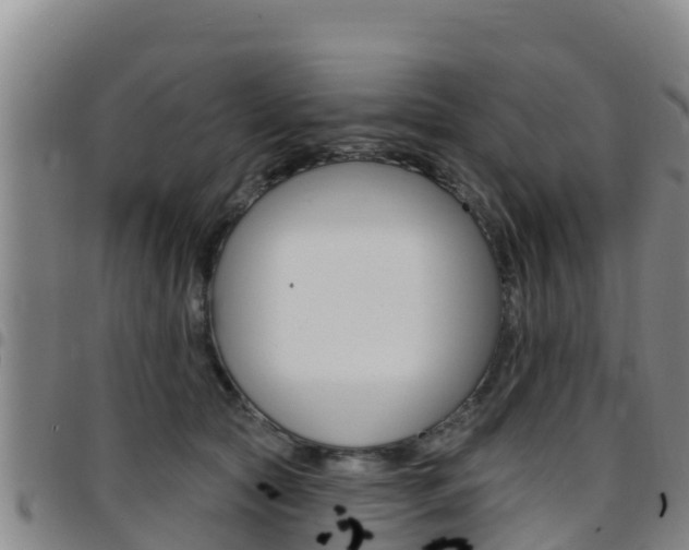 X0000097890561200803141008