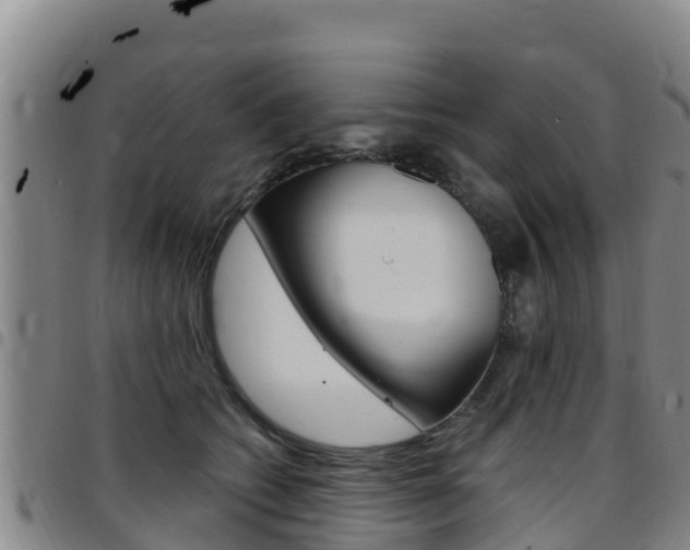 X0000097890562200803141008