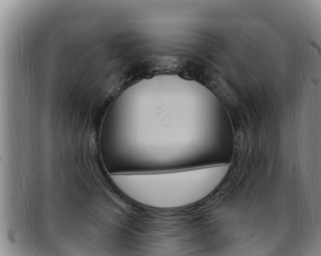 X0000097890564200803141008