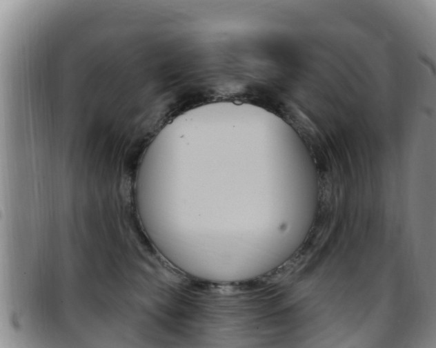 X0000097890565200803141008