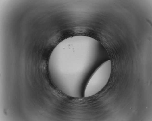 X0000097890567200803141008