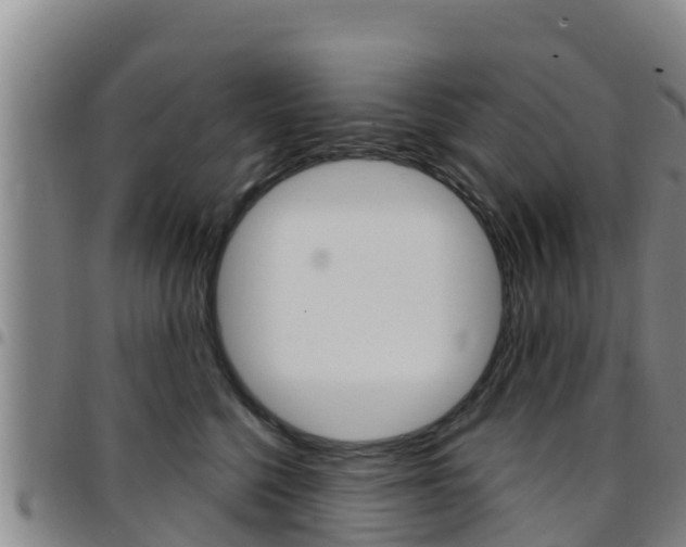 X0000097890568200803141008