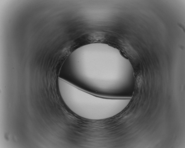 X0000097890570200803141008
