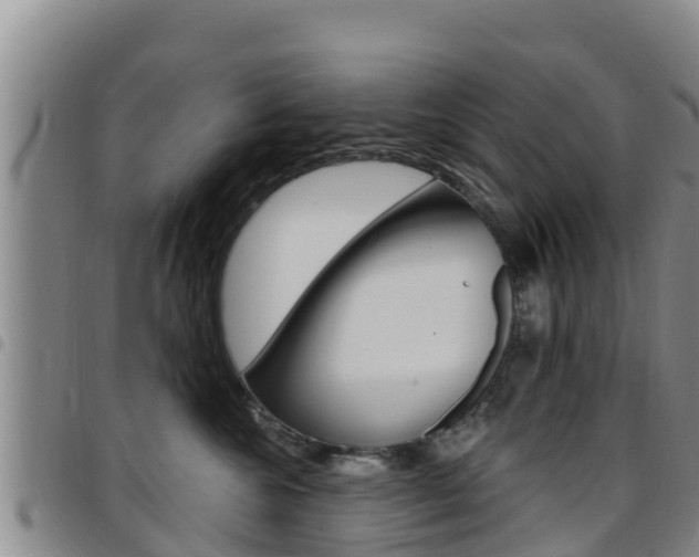 X0000097890572200803141008