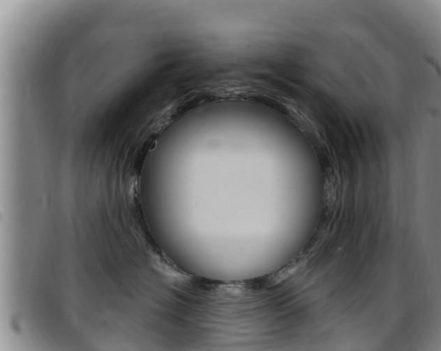 X0000097890574200803141008