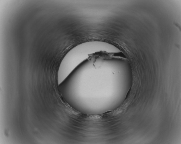 X0000097890576200803141008