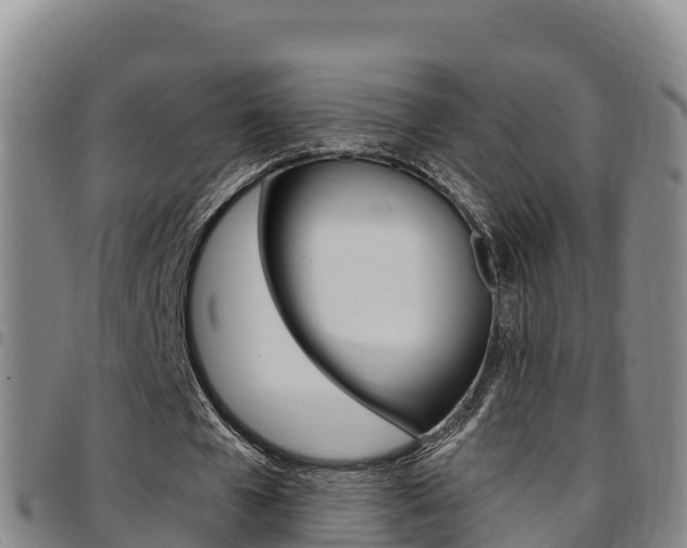 X0000097890577200803141007