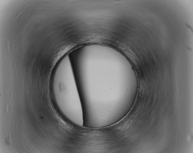 X0000097890578200803141007