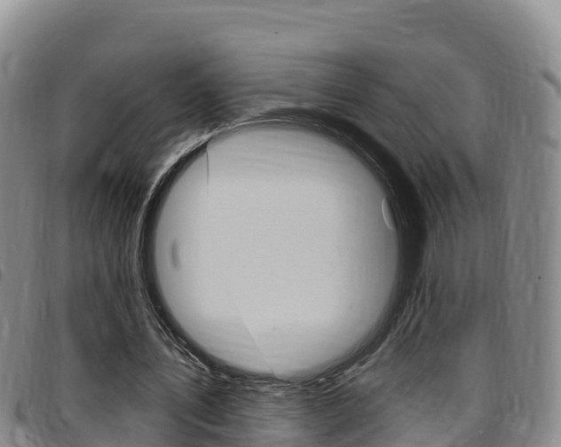 X0000097890579200803141007