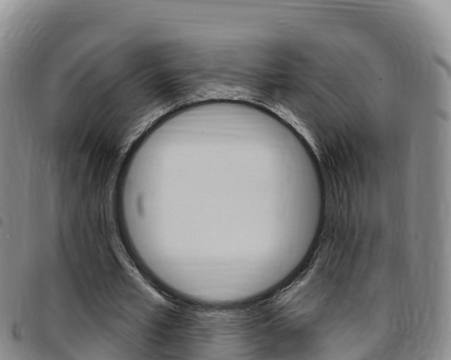 X0000097890581200803141007