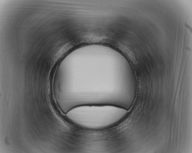 X0000097890582200803141007
