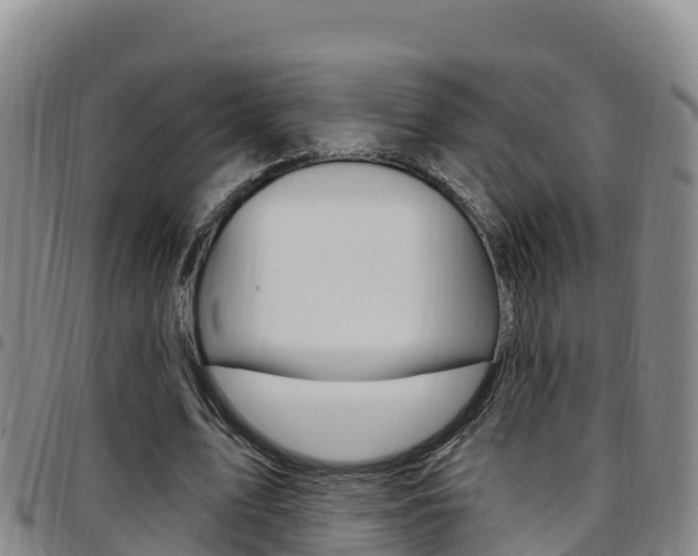 X0000097890583200803141007