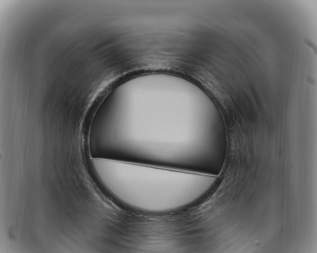 X0000097890584200803141007