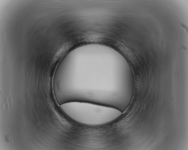 X0000097890586200803141007