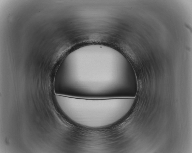 X0000097890588200803141007