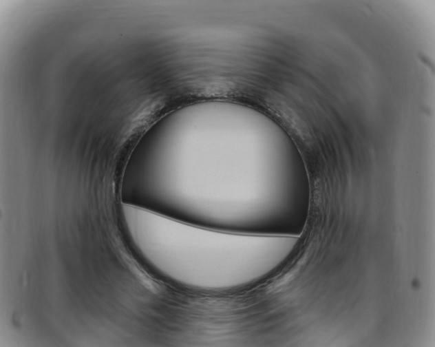 X0000097890589200803141007