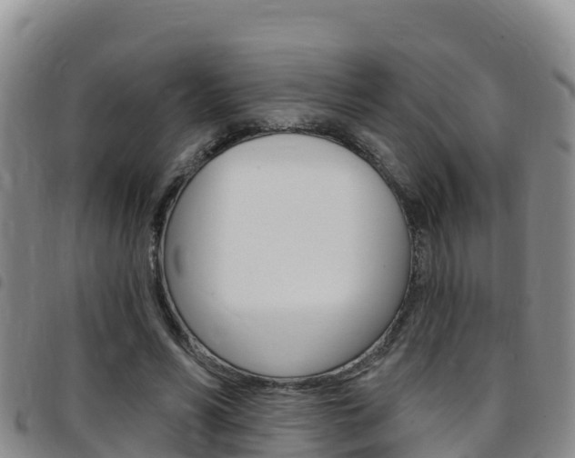 X0000097890590200803141007