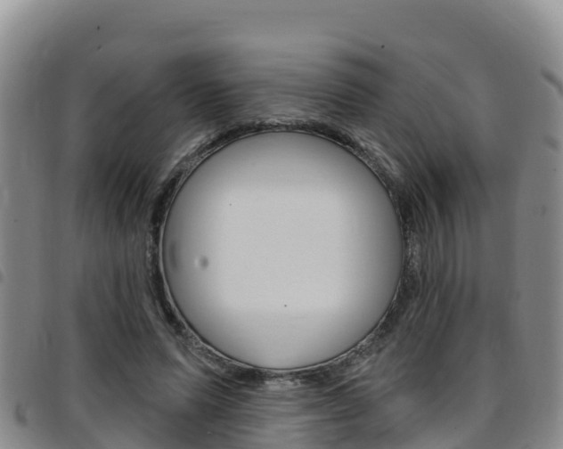 X0000097890591200803141007