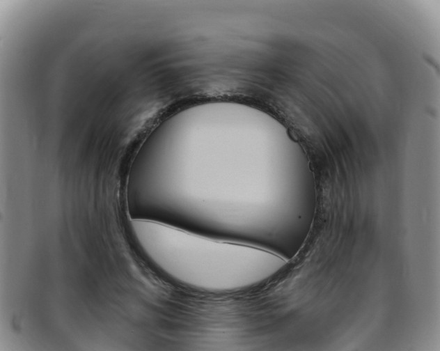 X0000097890592200803141007