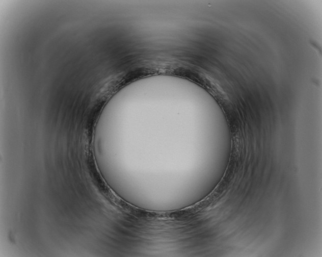 X0000097890594200803141007