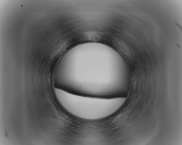 X0000097890595200803141007