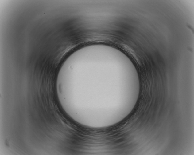 X0000097890596200803141007