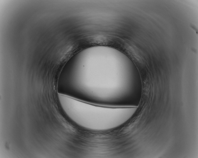 X0000097890597200803141007