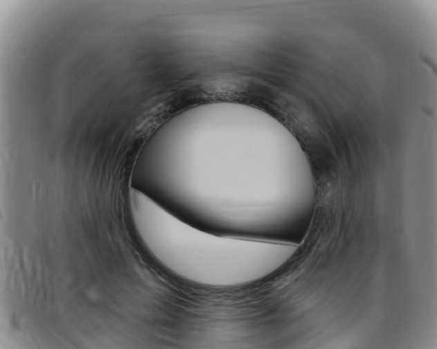 X0000097890599200803141007