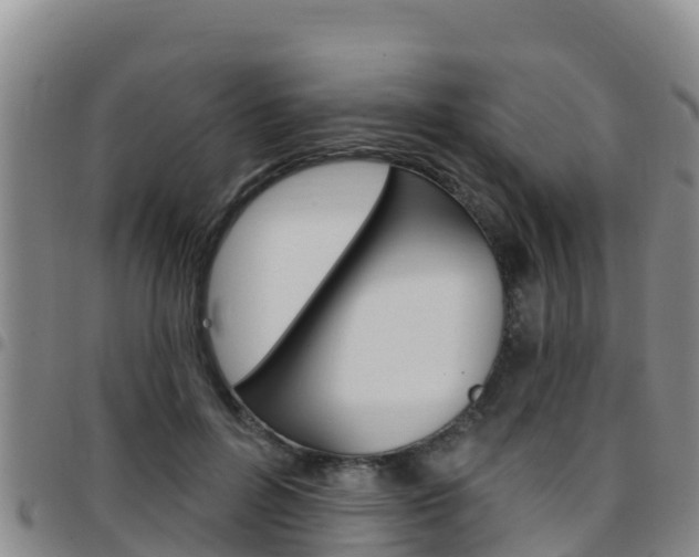 X0000097890600200803141007
